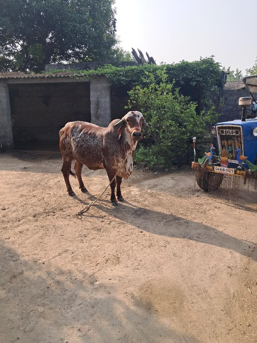 थंबनेल 2