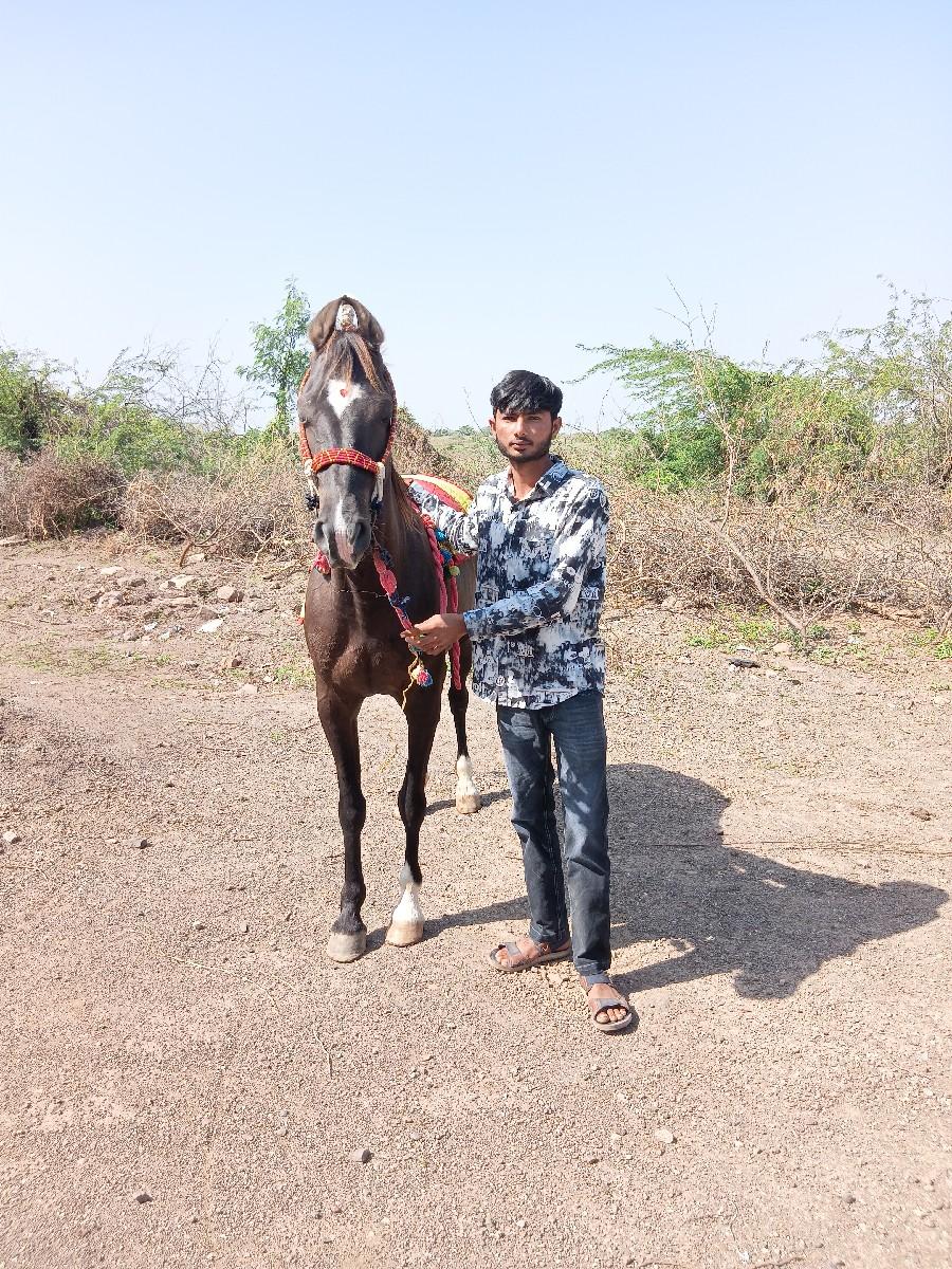 થંબનેલ 3