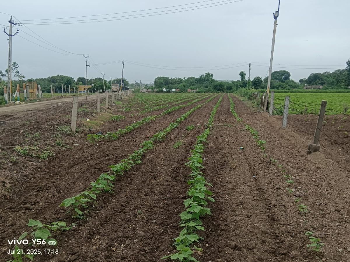 1એકર જમીન રોડ ટચ