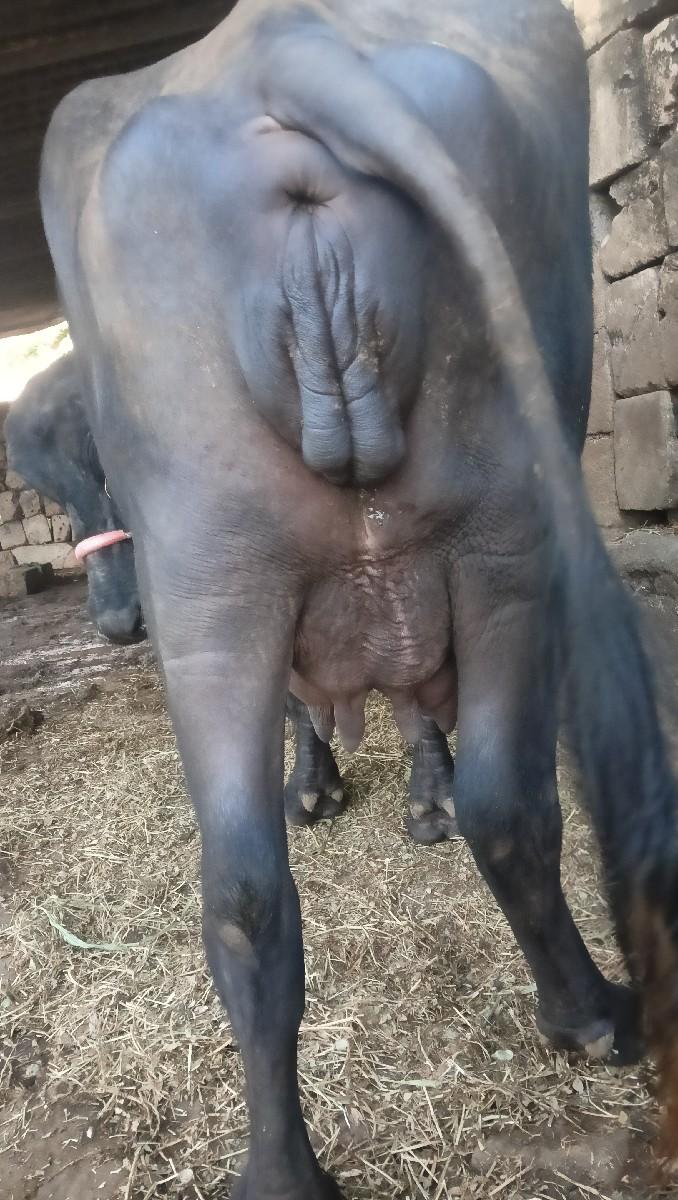 થંબનેલ 2