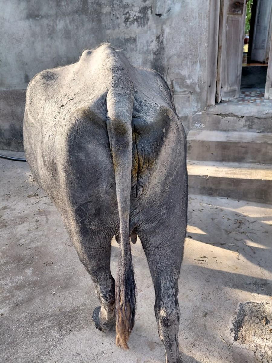 થંબનેલ 3