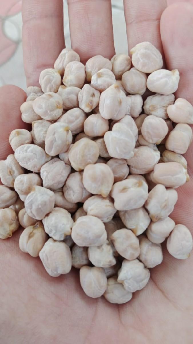 ચણા કાબુલી 1 નબર વેચવાના છે