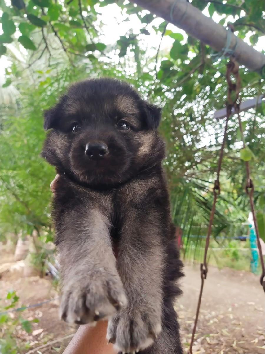 થંબનેલ 2