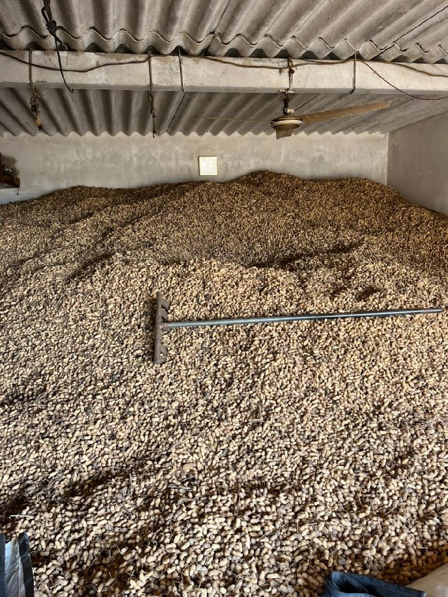 biyarn mate mandvi vechvani chhe