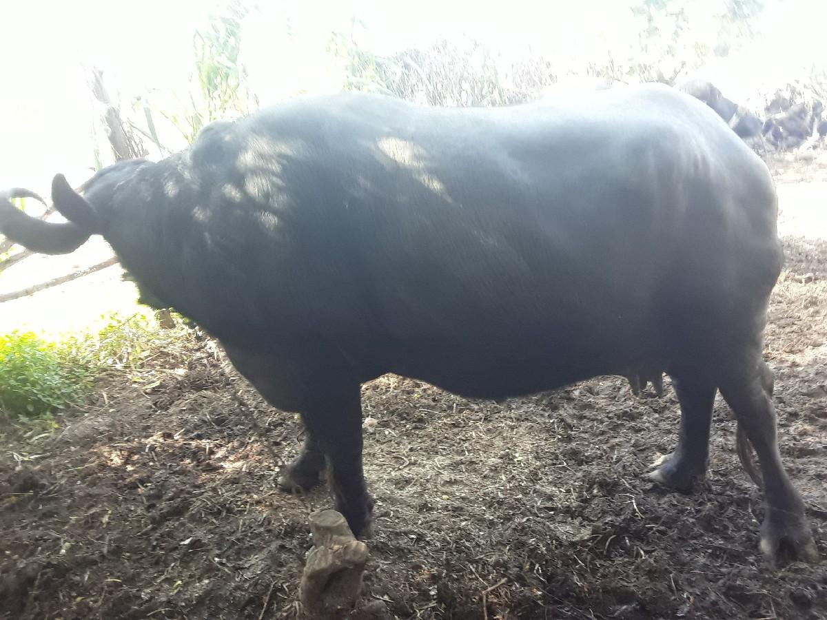 થંબનેલ 3