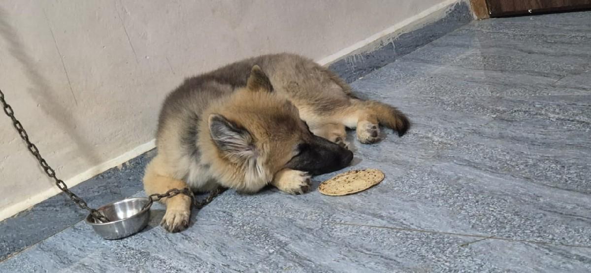 થંબનેલ 2