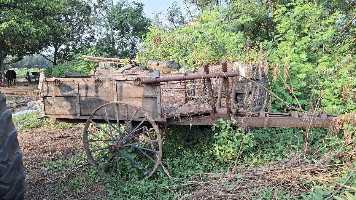 vesava nu se 10000 salu gadi se