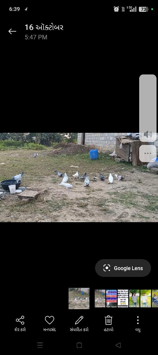 મોજાવાલા છે