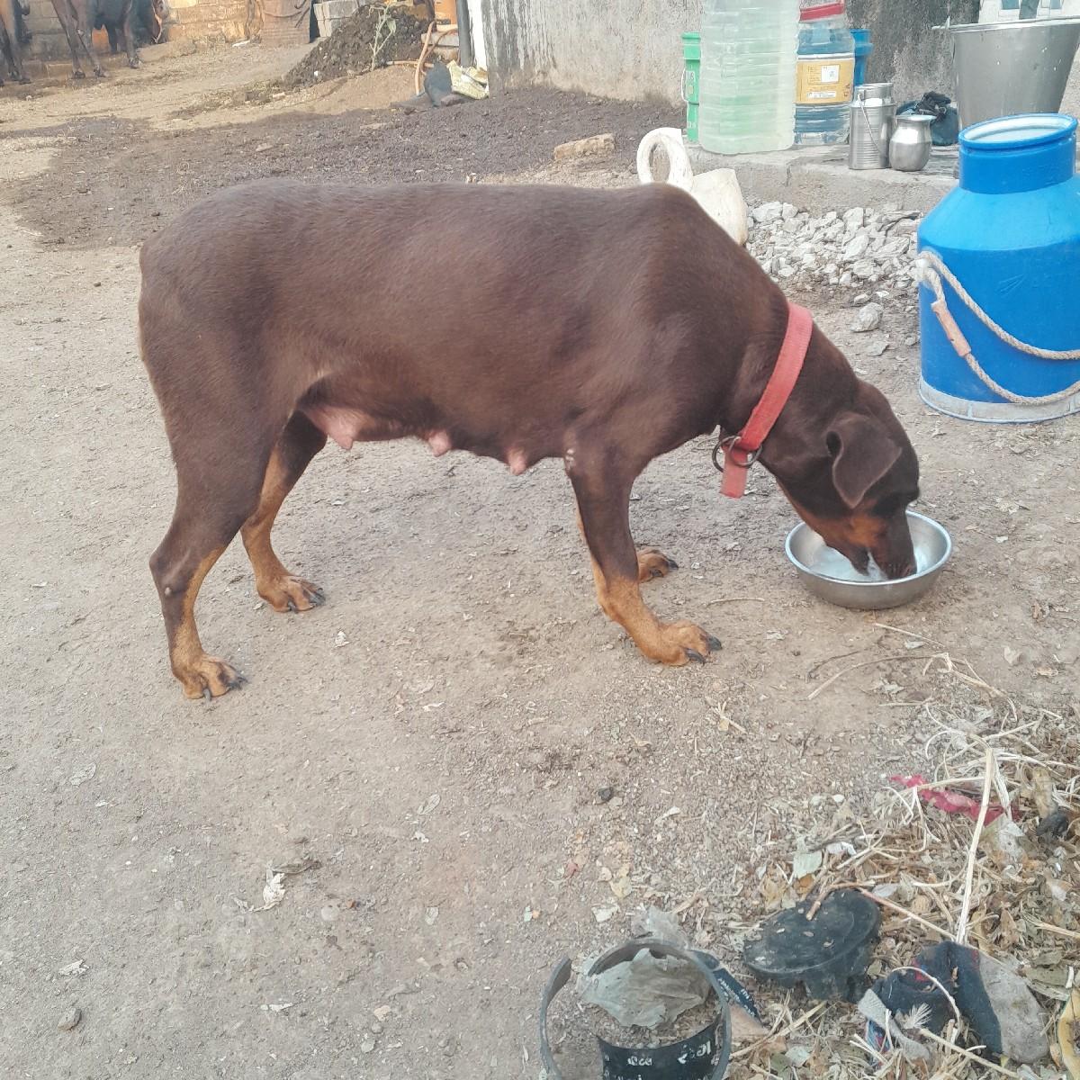 થંબનેલ 3