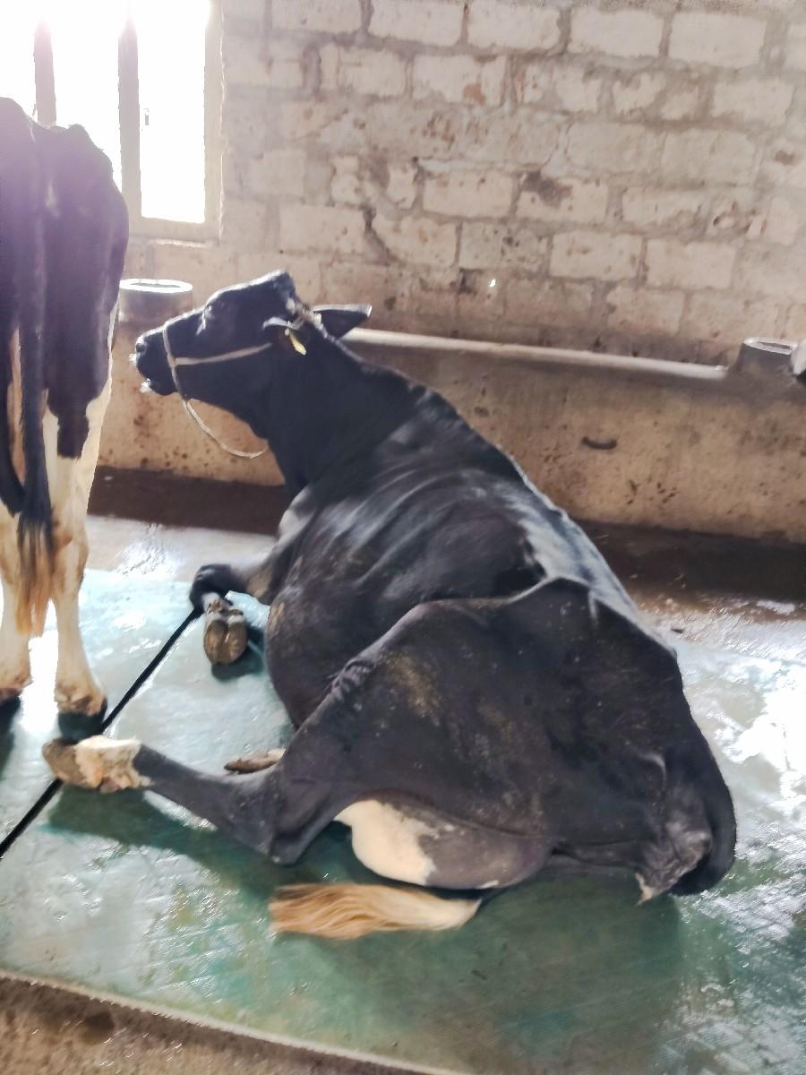 થંબનેલ 2