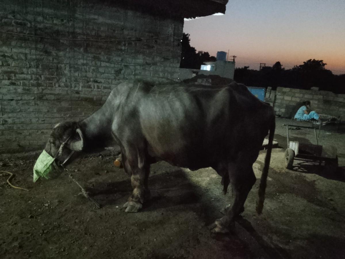 થંબનેલ 2