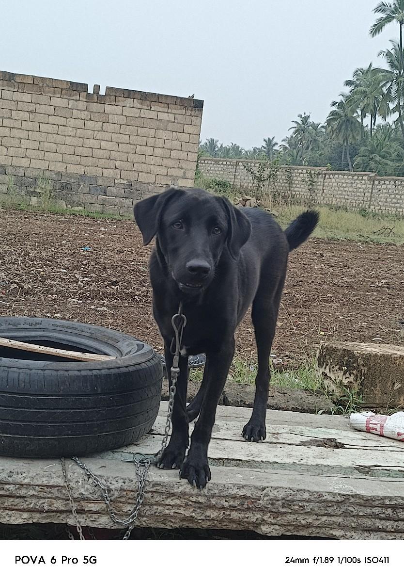 થંબનેલ 2