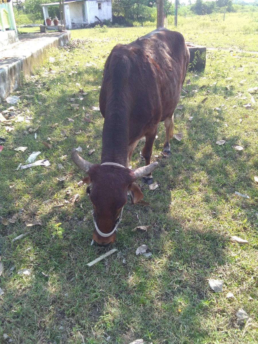 થંબનેલ 3