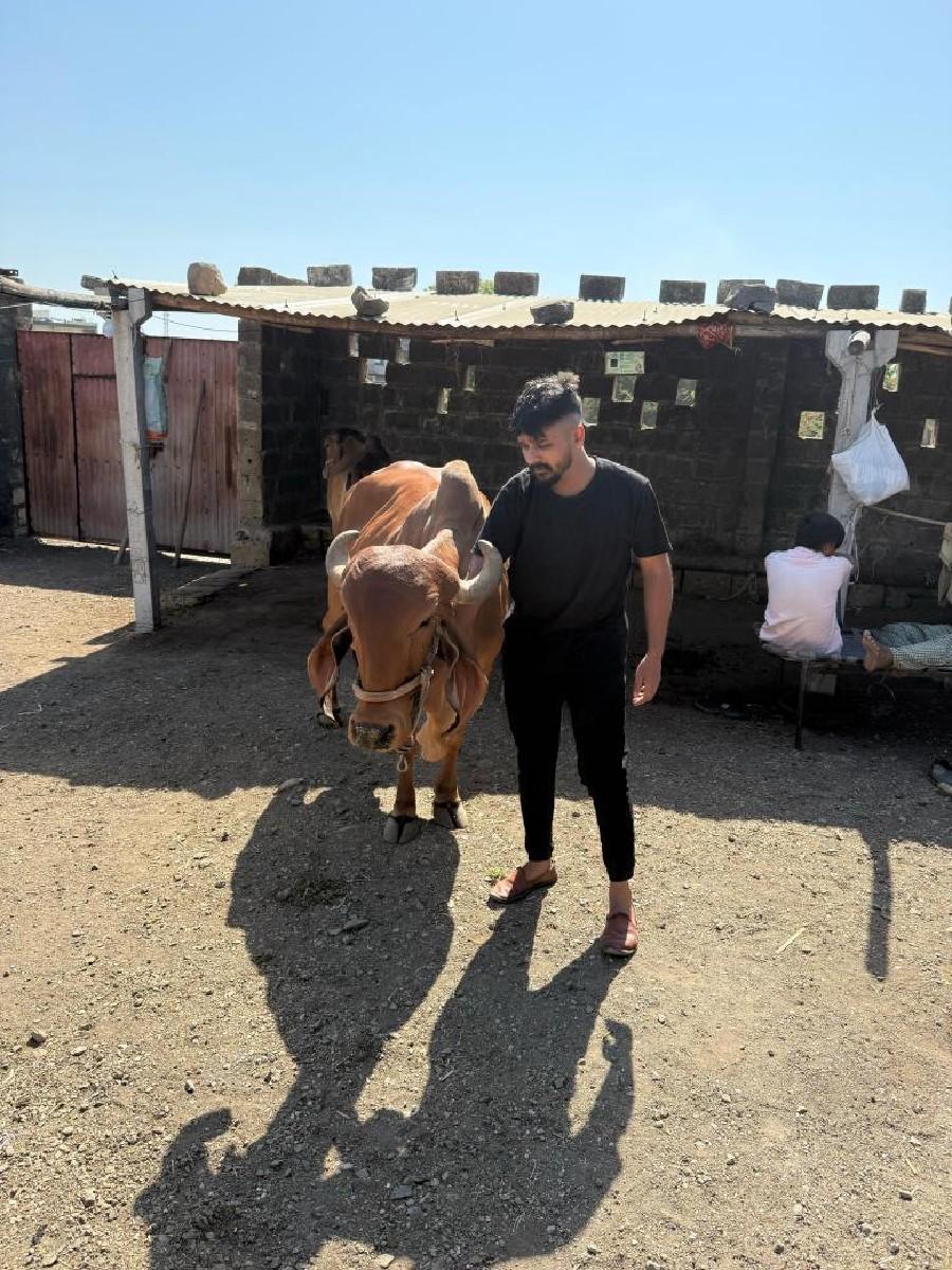 થંબનેલ 2