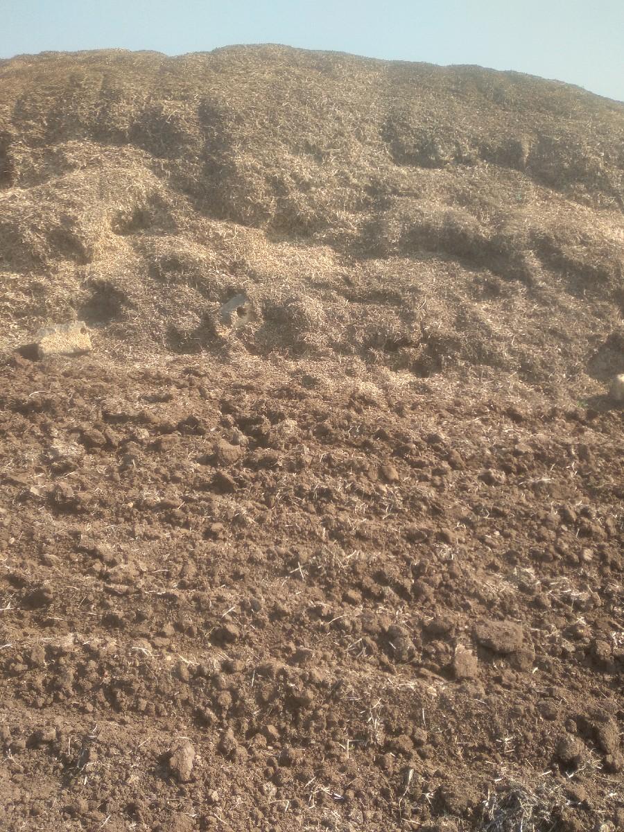 માંડવીનો ભૂકો કોરો વેચવાનો છે