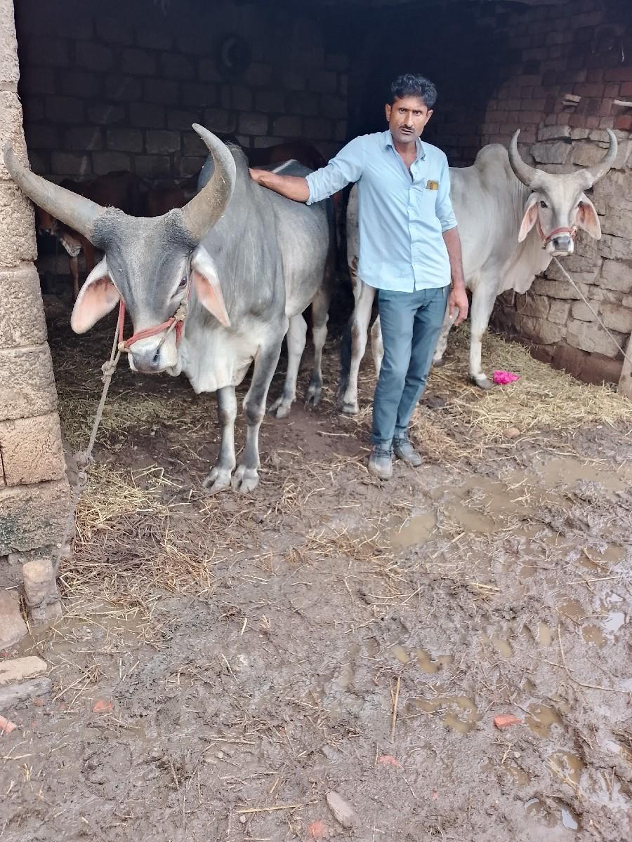 થંબનેલ 2