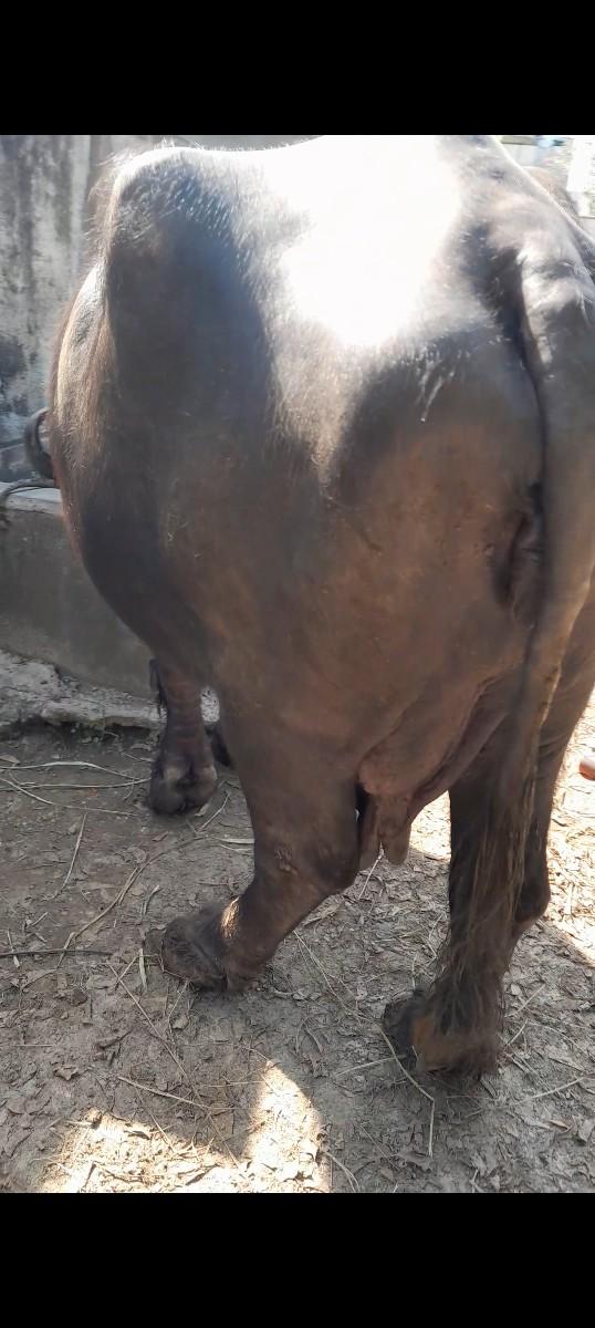 થંબનેલ 3