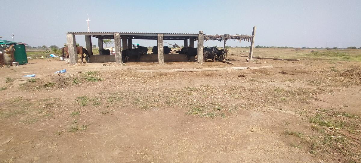 થંબનેલ 3