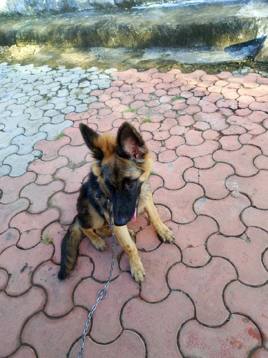 थंबनेल 2