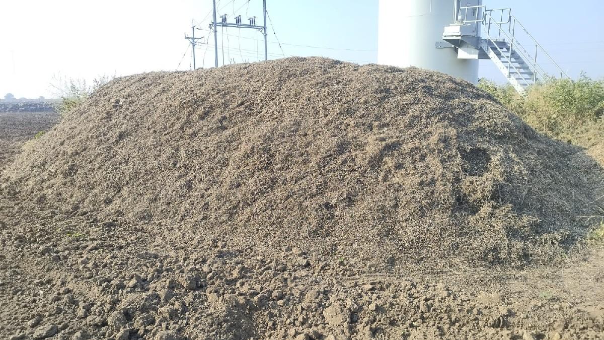 માંડવી નો ભુકો(પાલો)વેચવાનો છે