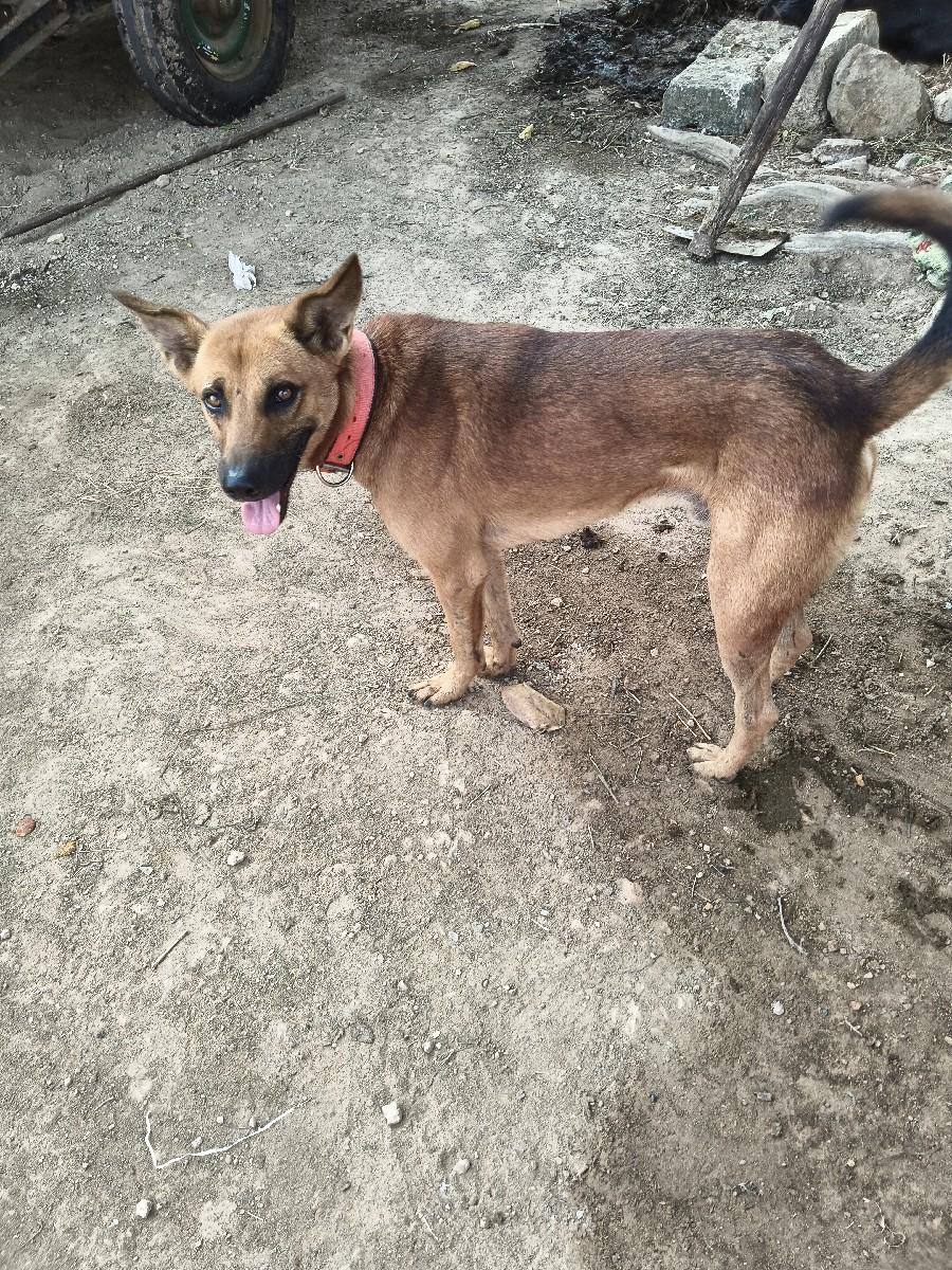 થંબનેલ 3