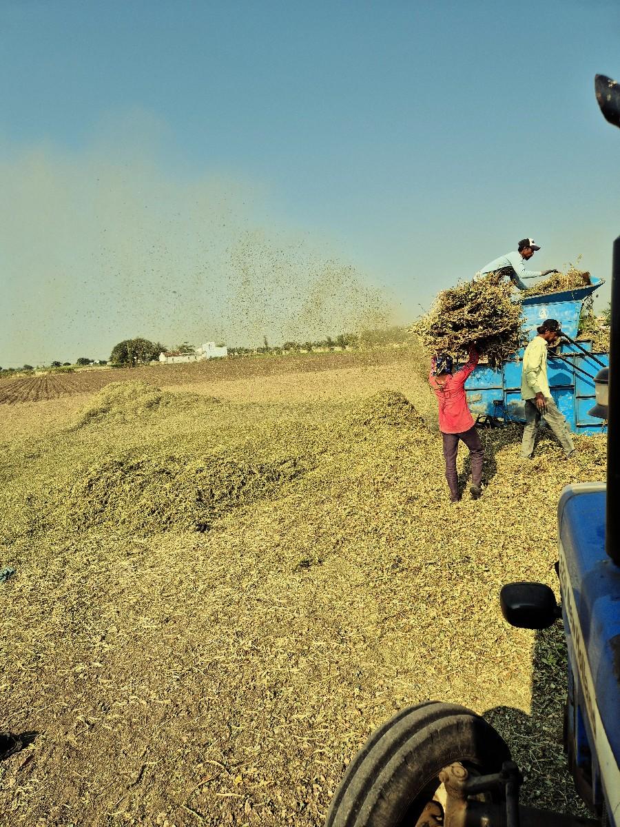 મગોટું, માડવીયુ, ભુકો, પોલો