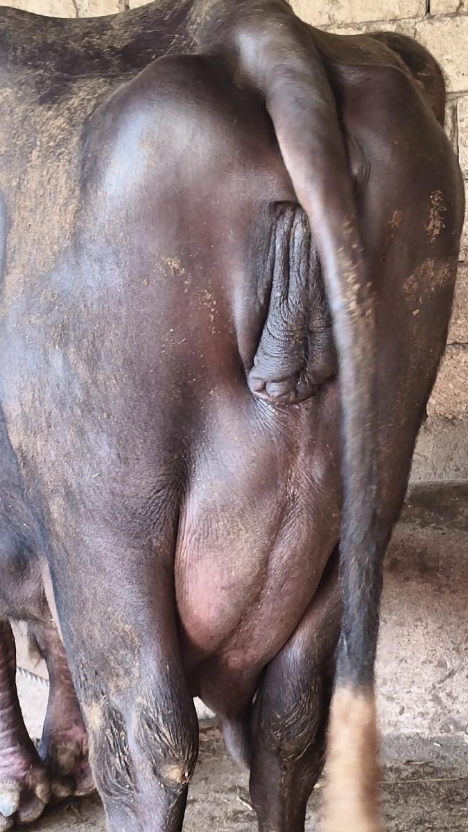 થંબનેલ 2