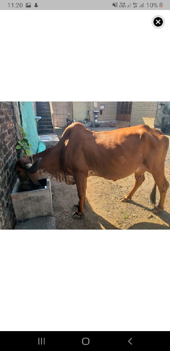 થંબનેલ 2