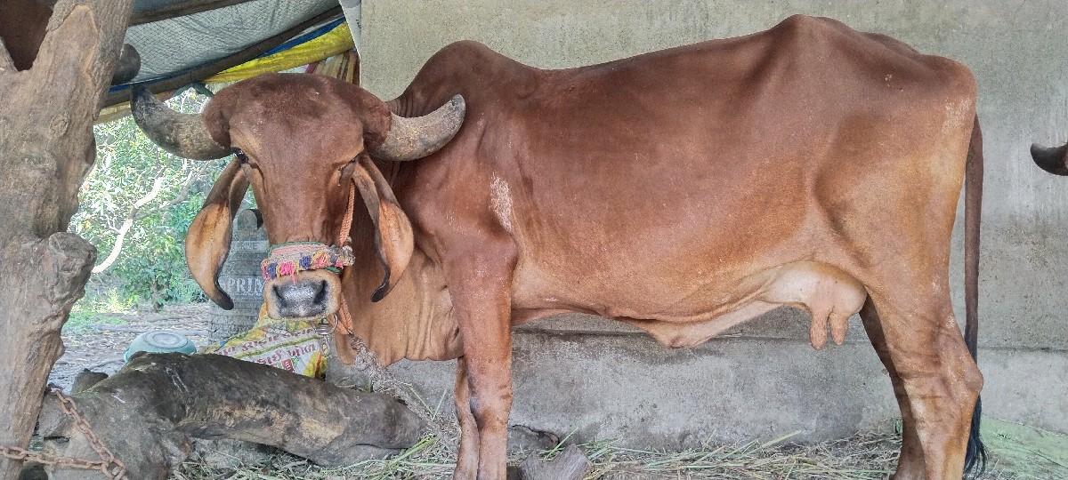 25 દિવસ ની કાશી સે