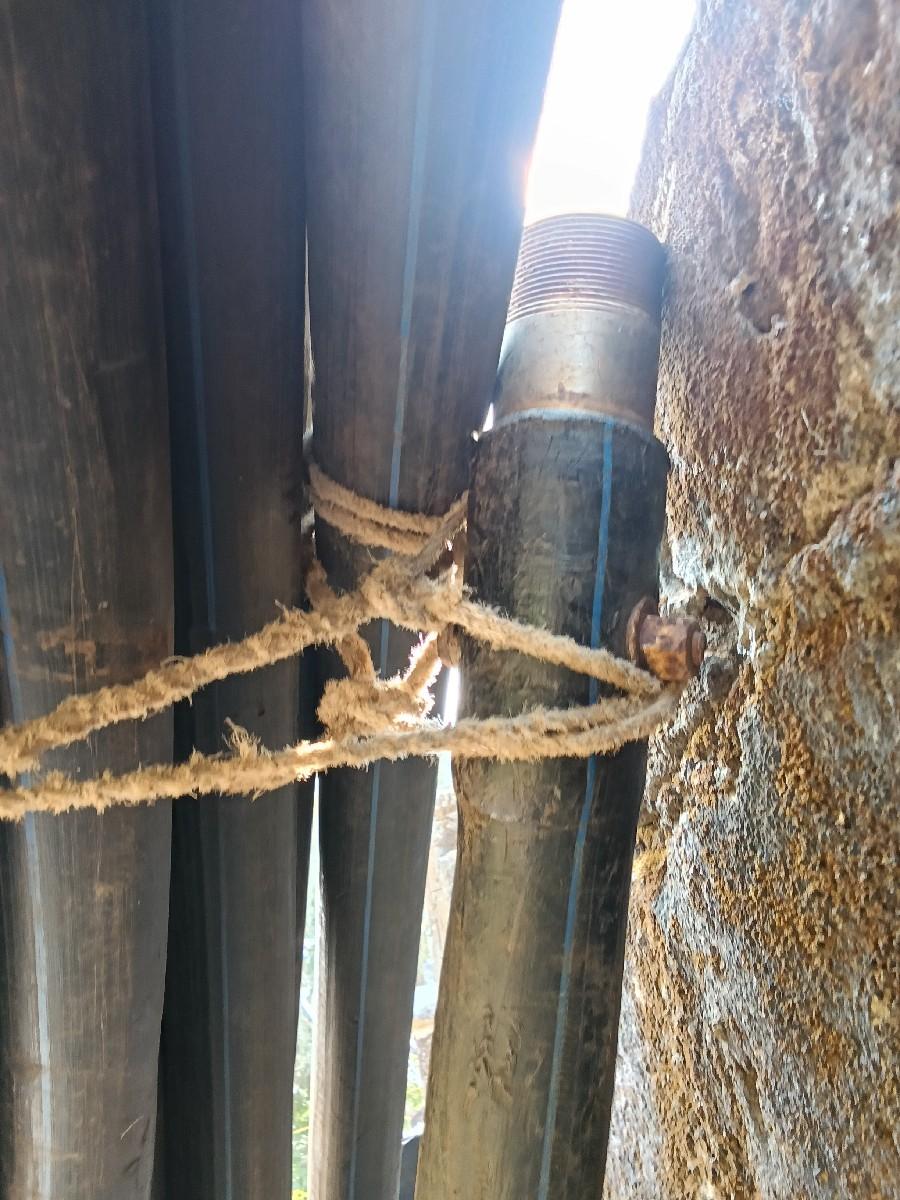 2 નો બબો સે 273 ફૂટ