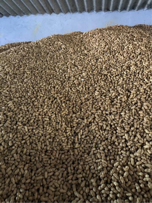 કોરી મગફળી વેચવાની છે