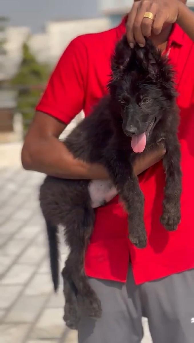 થંબનેલ 3