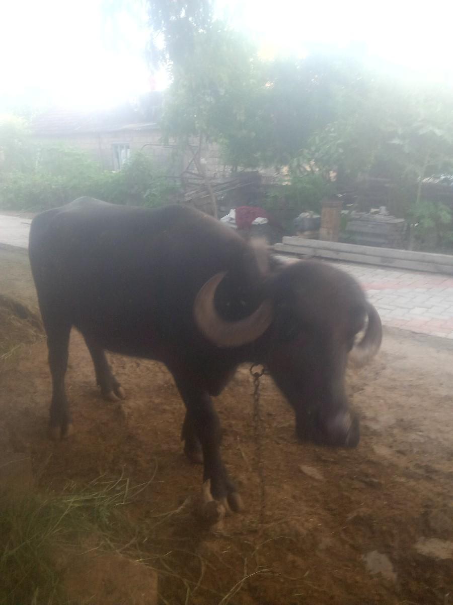 થંબનેલ 3