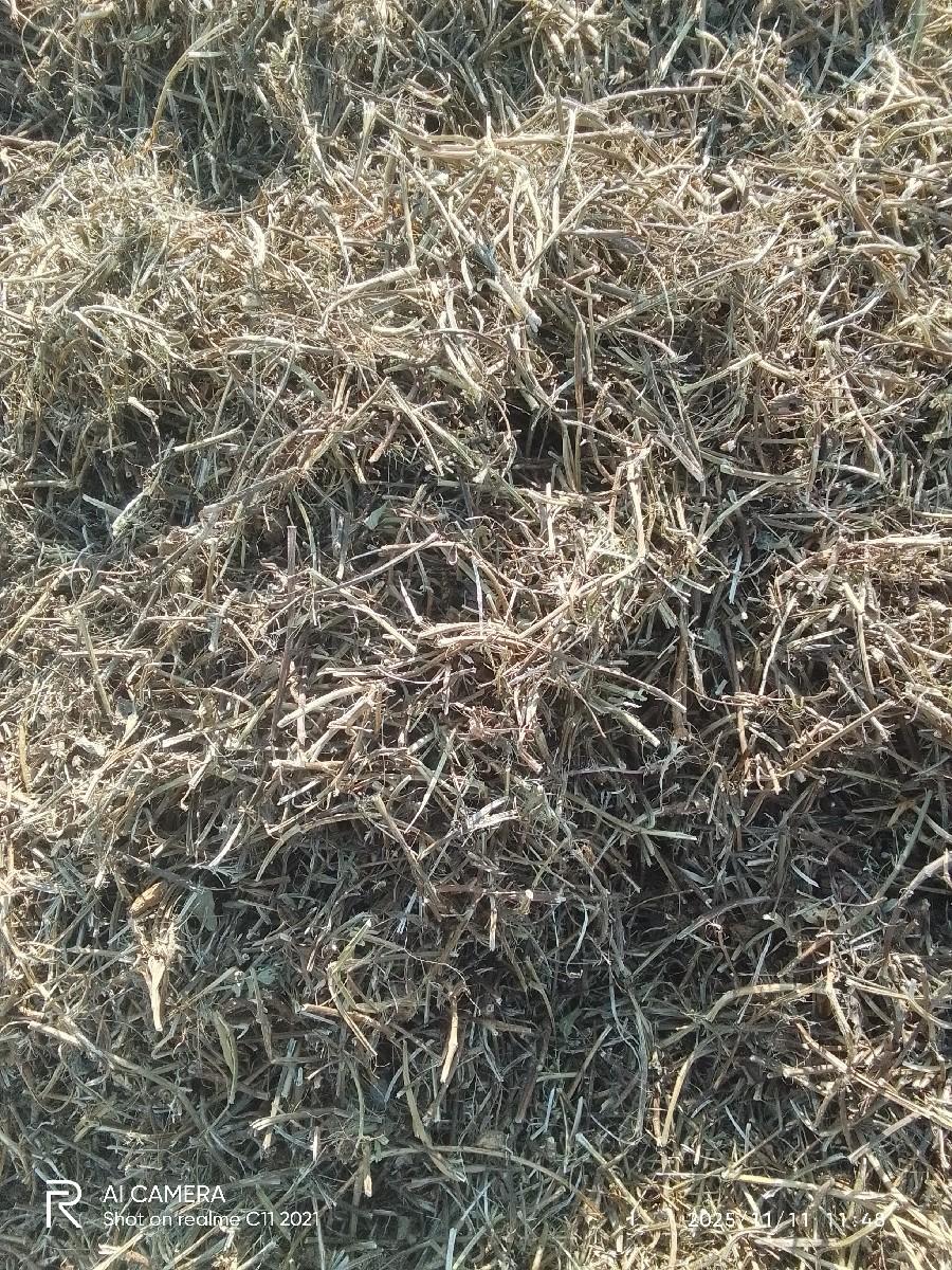 મગફળી ની નીરણ વેચવાની છે