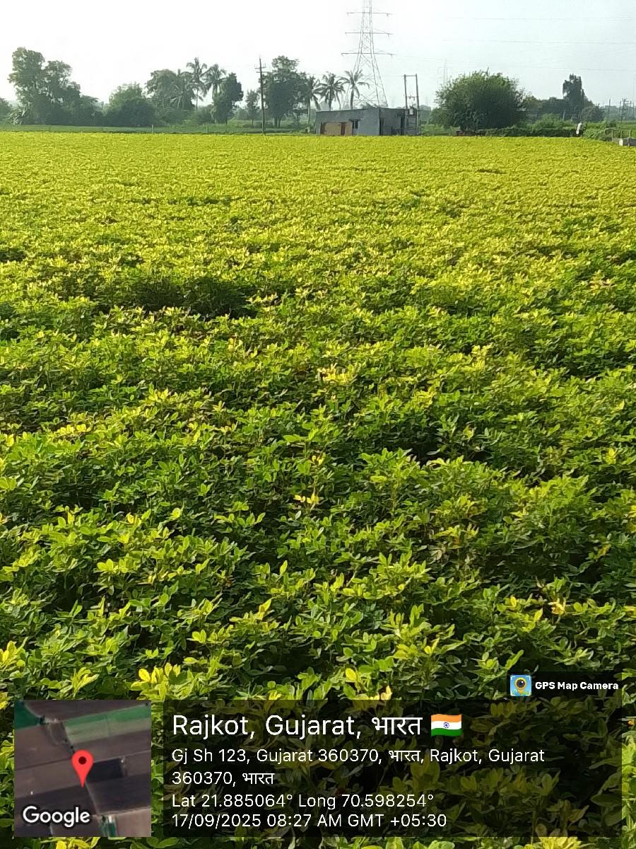 થંબનેલ 2