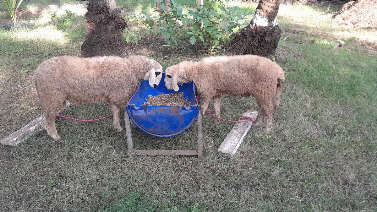 થંબનેલ 3