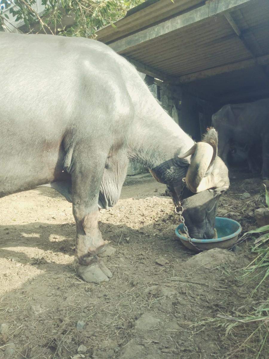 થંબનેલ 3