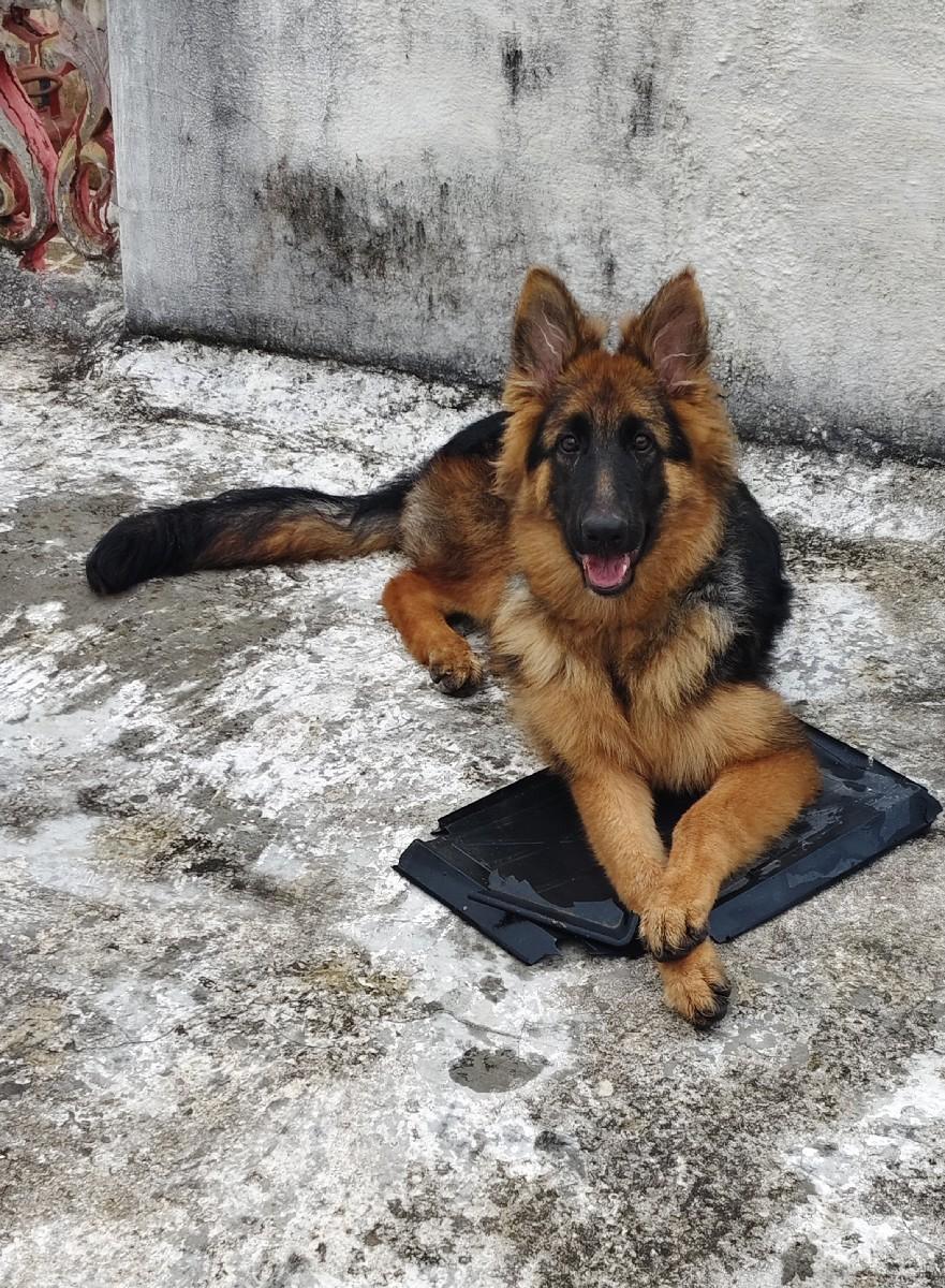 થંબનેલ 2