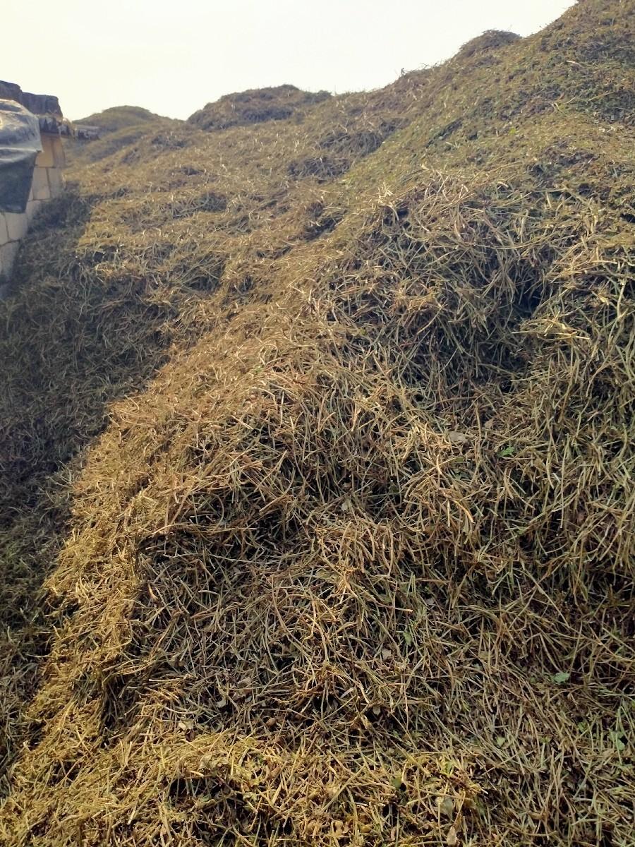 મગફળી નો પાલો વેચવાનો છે અગીયાર