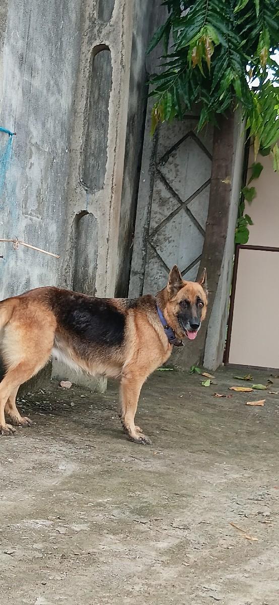 થંબનેલ 3