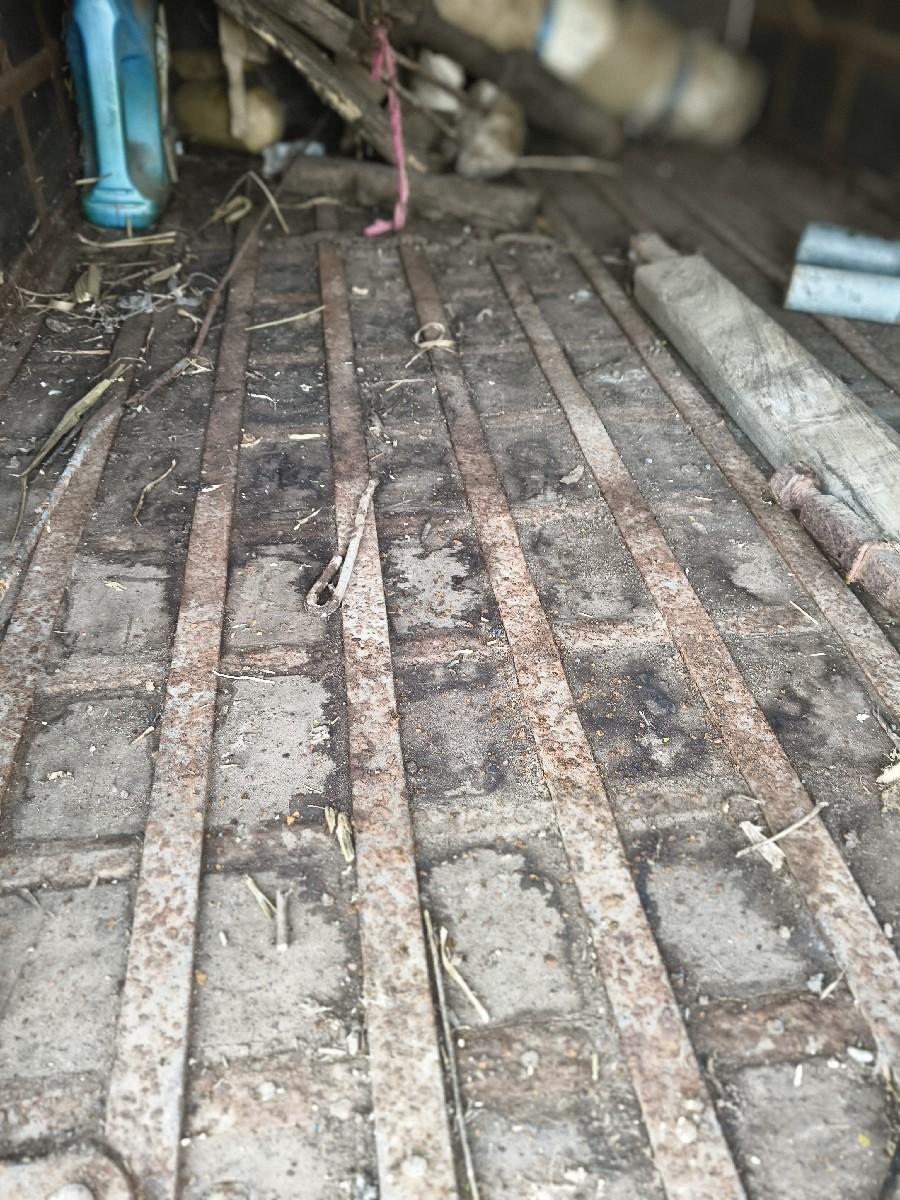 थंबनेल 2