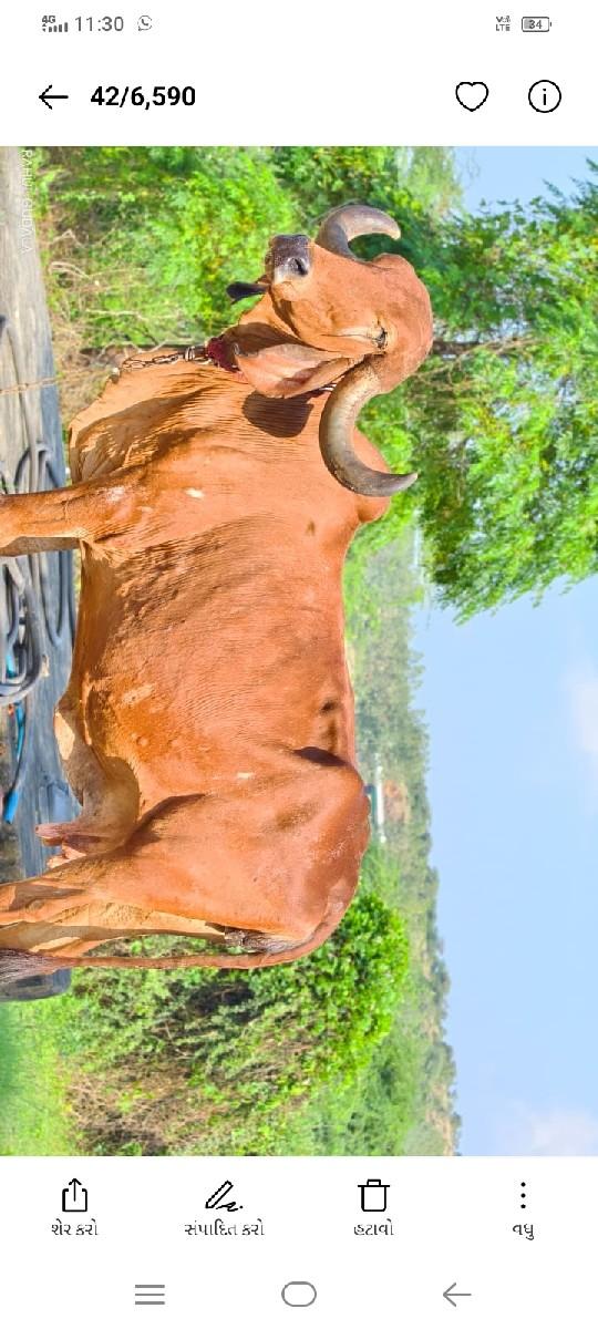 થંબનેલ 3