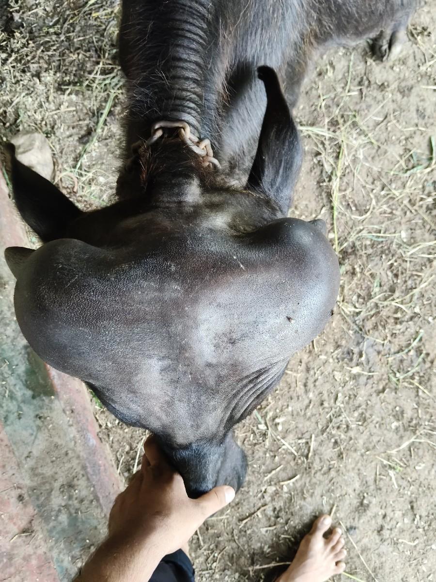 થંબનેલ 6