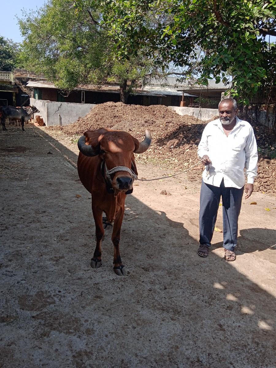 થંબનેલ 2