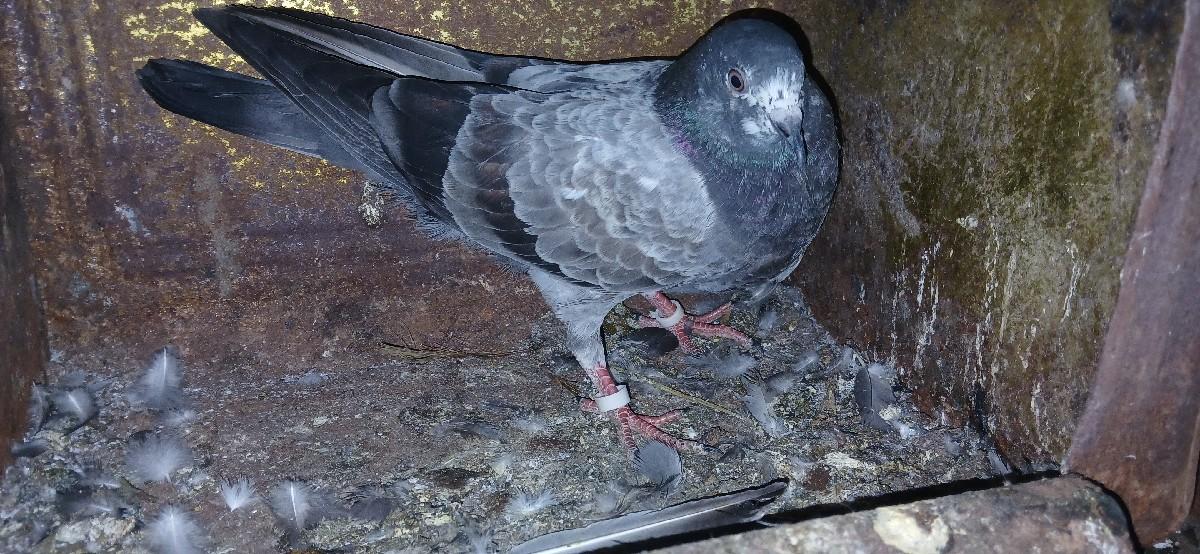 થંબનેલ 2