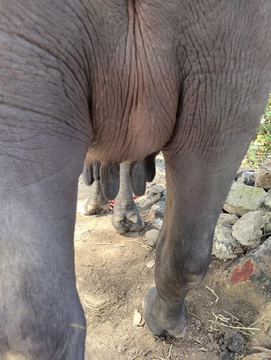 થંબનેલ 3