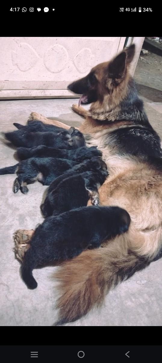 થંબનેલ 3