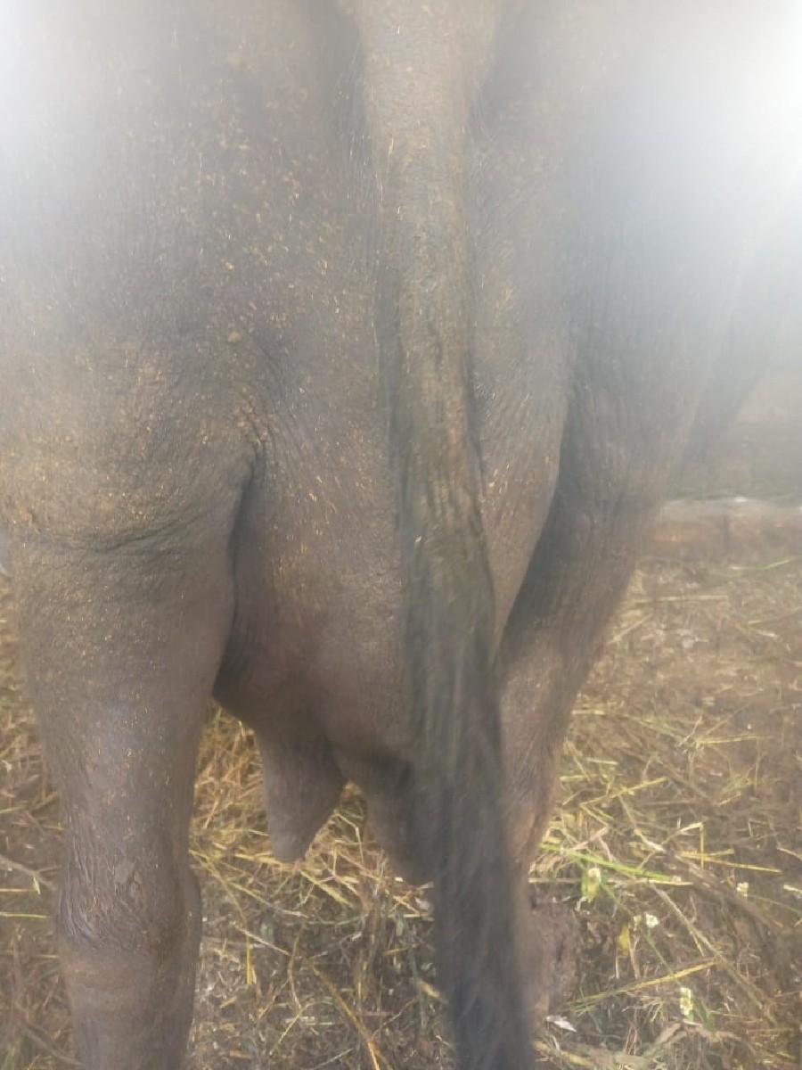 થંબનેલ 3