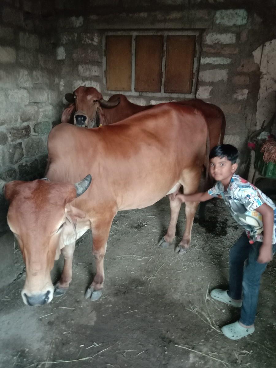 થંબનેલ 2