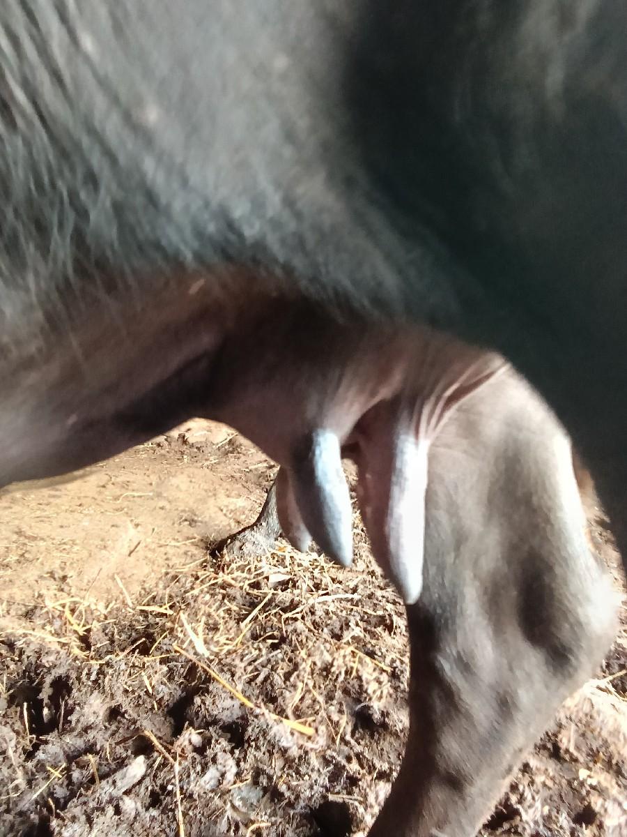 થંબનેલ 3